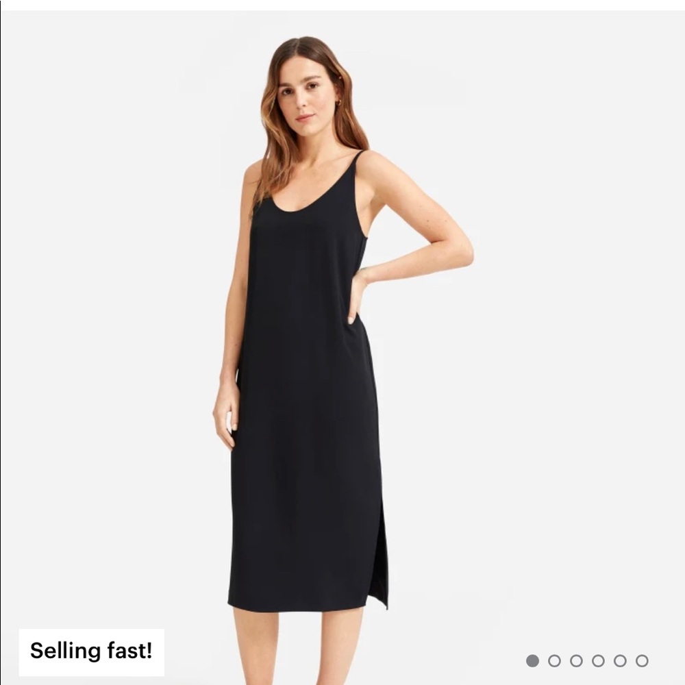 Everlane Shift Dress - Japanese GoWeave Slip Dress